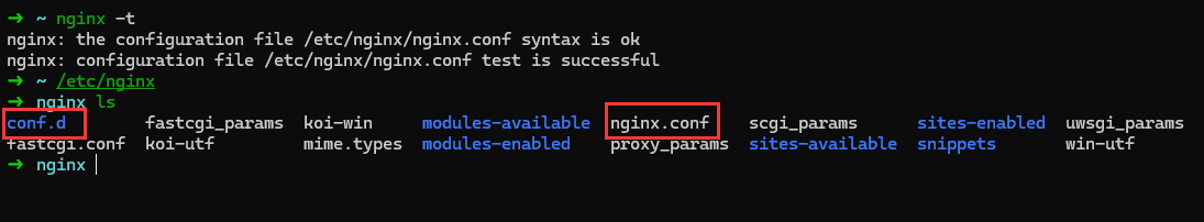 Nginx Config 2