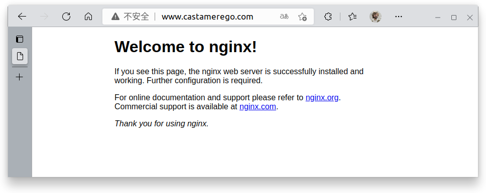 nginx status